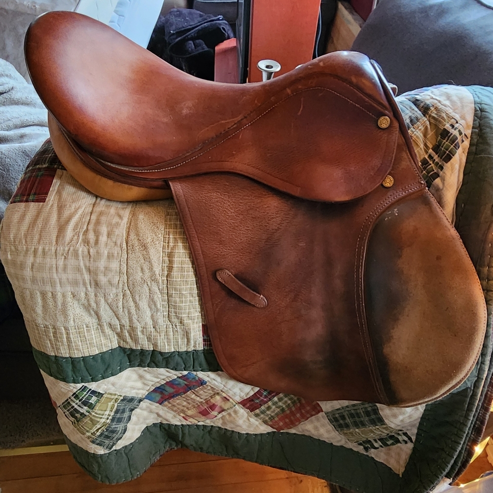 Collegiate saddle